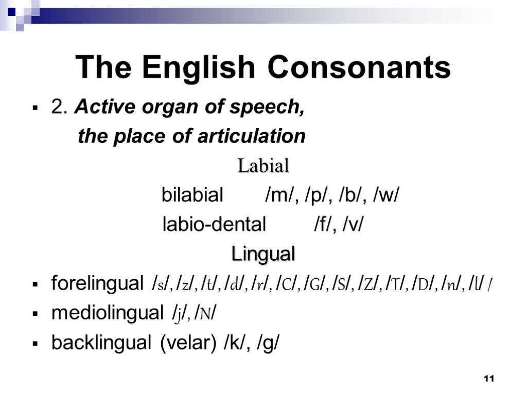 11 The English Consonants 2. Active organ of speech, the place of articulation Labial